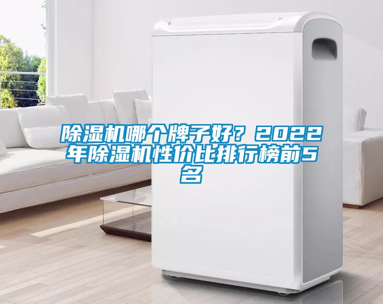 除濕機(jī)哪個(gè)牌子好？2022年除濕機(jī)性價(jià)比排行榜前5名