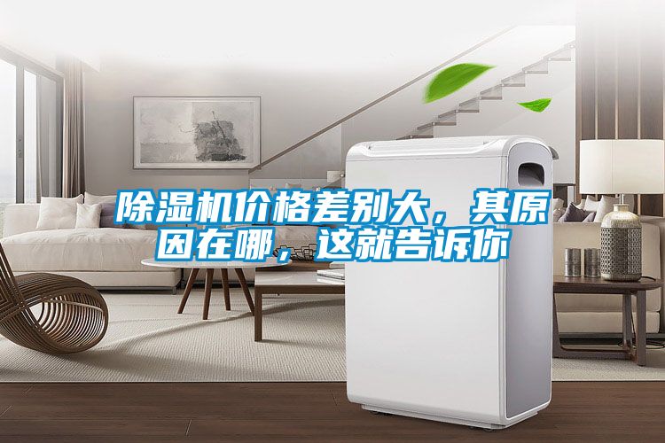 除濕機價格差別大，其原因在哪，這就告訴你