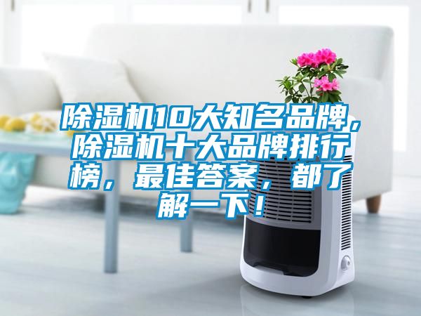 除濕機10大知名品牌，除濕機十大品牌排行榜，最佳答案，都了解一下！