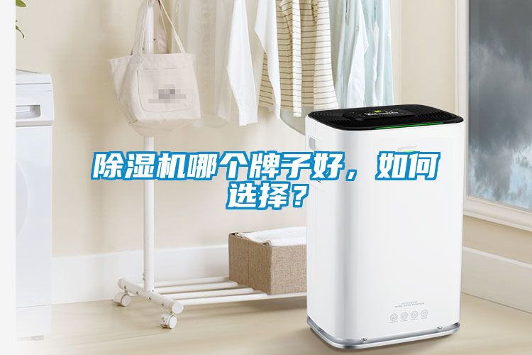除濕機(jī)哪個(gè)牌子好，如何選擇？