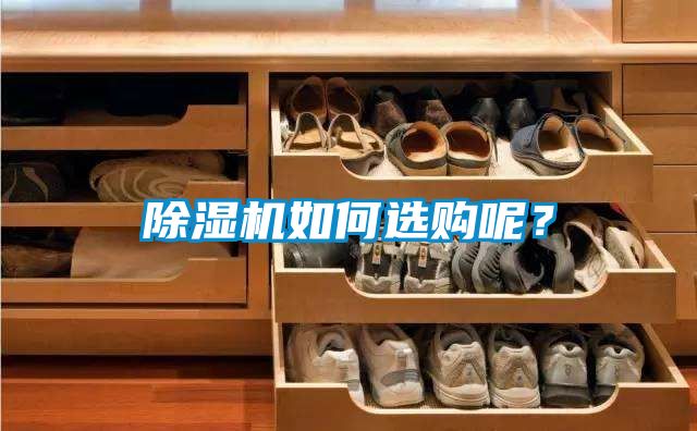 除濕機如何選購呢？
