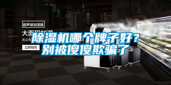除濕機(jī)哪個(gè)牌子好？別被傻傻欺騙了