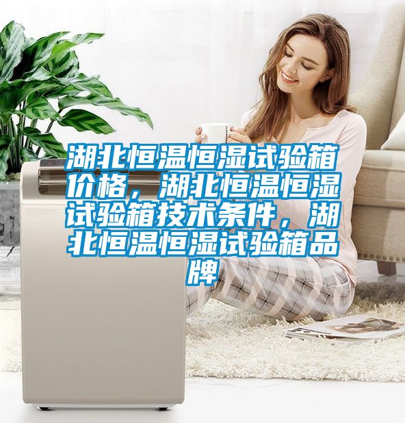 湖北恒溫恒濕試驗(yàn)箱價(jià)格，湖北恒溫恒濕試驗(yàn)箱技術(shù)條件，湖北恒溫恒濕試驗(yàn)箱品牌