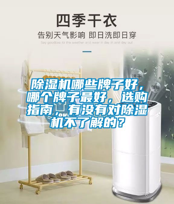 除濕機(jī)哪些牌子好，哪個(gè)牌子最好，選購指南，有沒有對除濕機(jī)不了解的？