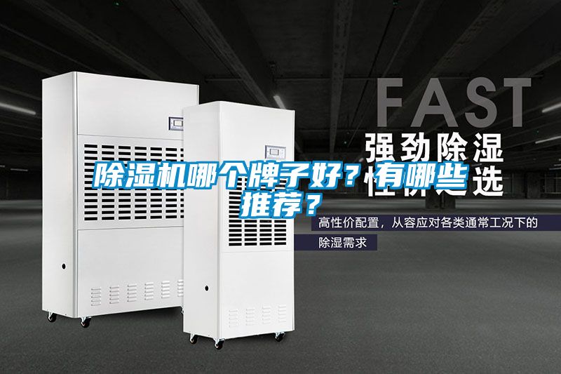 除濕機哪個牌子好？有哪些推薦？