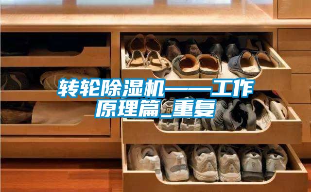 轉(zhuǎn)輪除濕機——工作原理篇_重復
