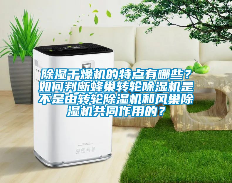 除濕干燥機的特點有哪些？如何判斷蜂巢轉(zhuǎn)輪除濕機是不是由轉(zhuǎn)輪除濕機和風(fēng)巢除濕機共同作用的？