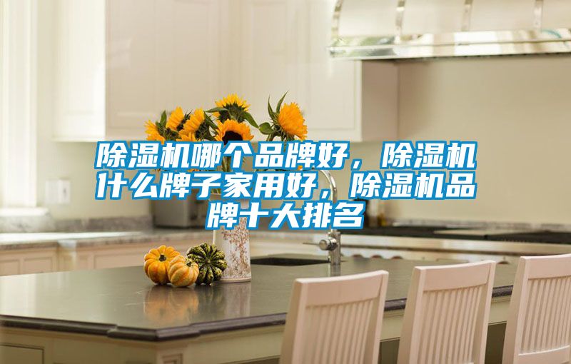 除濕機哪個品牌好，除濕機什么牌子家用好，除濕機品牌十大排名