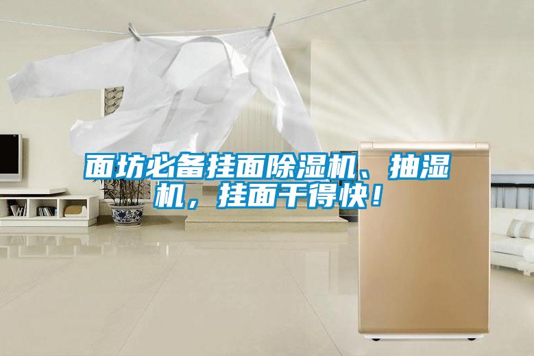 面坊必備掛面除濕機、抽濕機，掛面干得快！