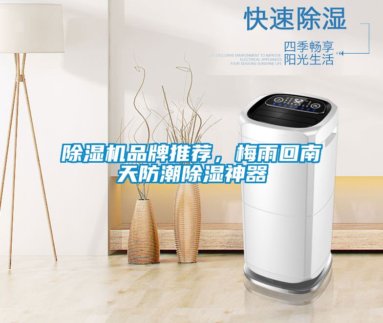 除濕機品牌推薦，梅雨回南天防潮除濕神器