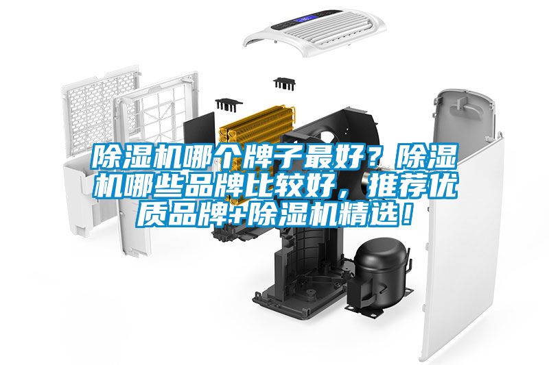 除濕機哪個牌子最好？除濕機哪些品牌比較好，推薦優(yōu)質(zhì)品牌+除濕機精選！