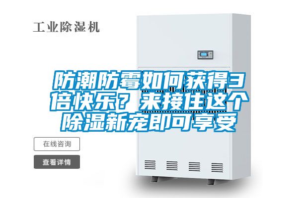 防潮防霉如何獲得3倍快樂？來接住這個除濕新寵即可享受