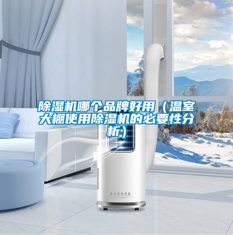 除濕機(jī)哪個品牌好用（溫室大棚使用除濕機(jī)的必要性分析）