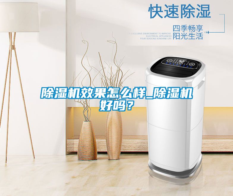 除濕機效果怎么樣_除濕機好嗎？