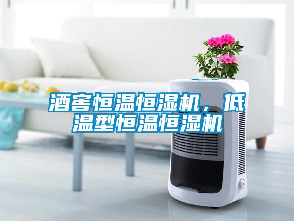 酒窖恒溫恒濕機(jī)，低溫型恒溫恒濕機(jī)