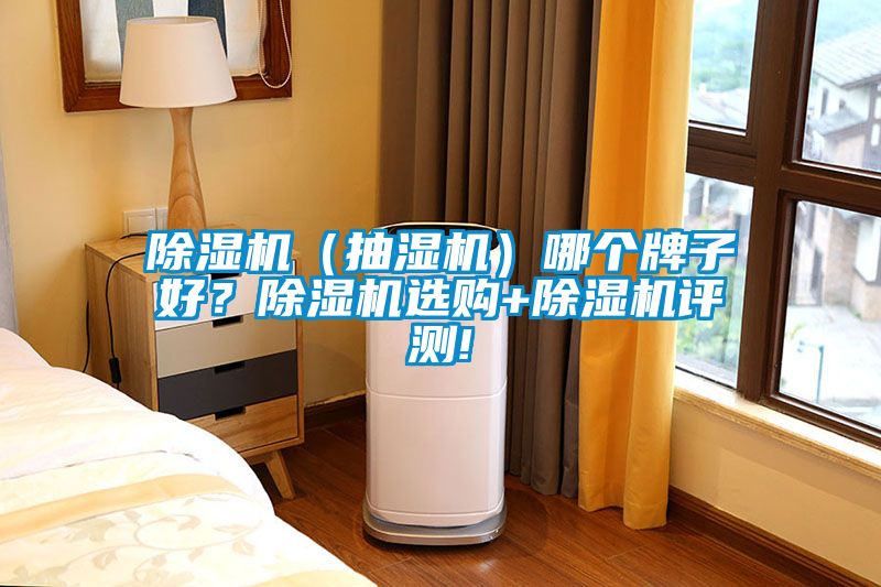 除濕機（抽濕機）哪個牌子好？除濕機選購+除濕機評測!
