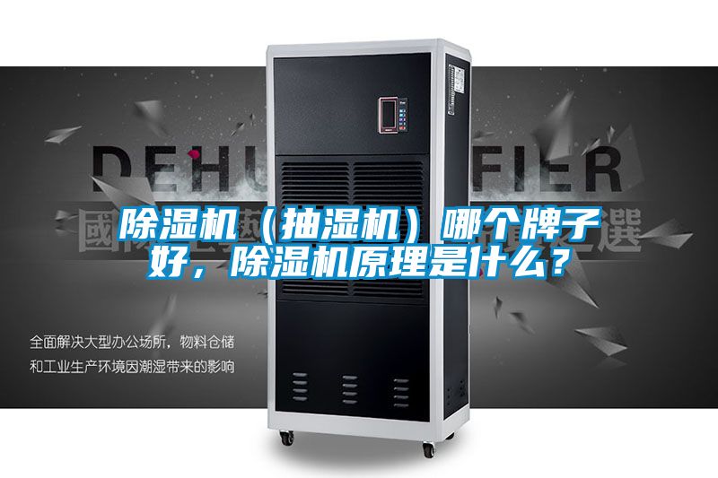 除濕機(jī)（抽濕機(jī)）哪個(gè)牌子好，除濕機(jī)原理是什么？