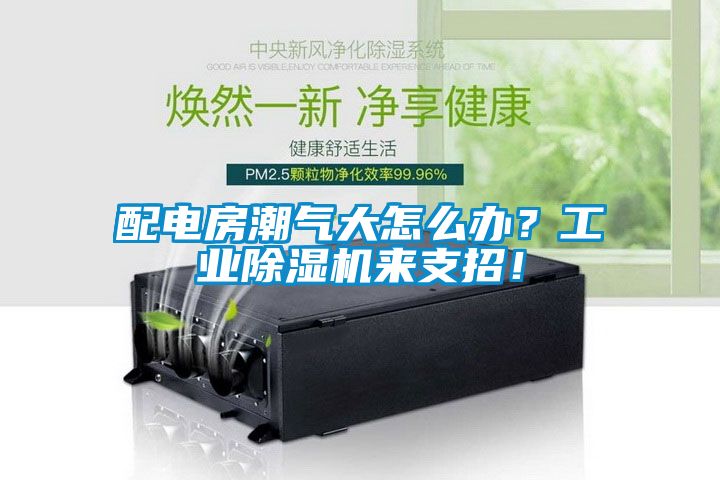 配電房潮氣大怎么辦？工業除濕機來支招！