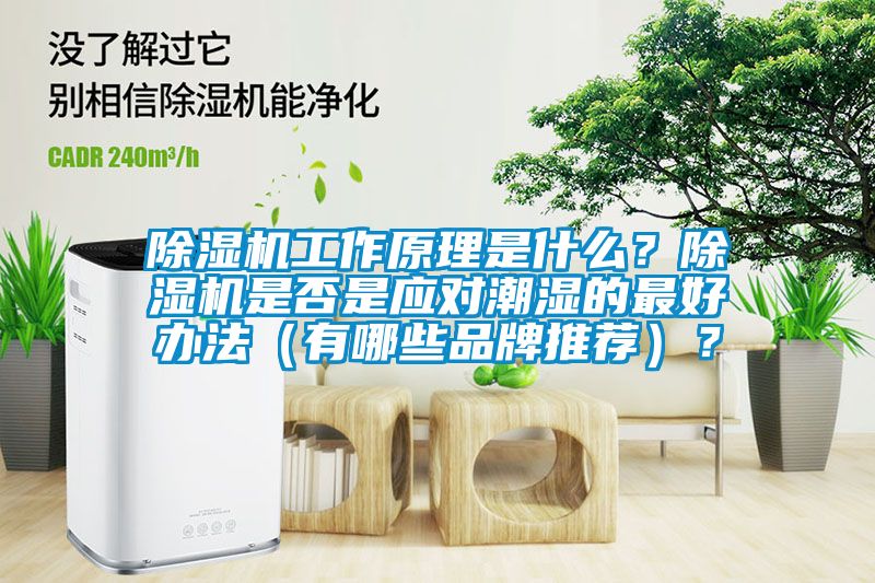 除濕機(jī)工作原理是什么？除濕機(jī)是否是應(yīng)對潮濕的最好辦法（有哪些品牌推薦）？