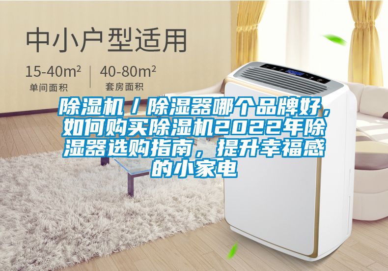 除濕機(jī)／除濕器哪個品牌好，如何購買除濕機(jī)2022年除濕器選購指南，提升幸福感的小家電