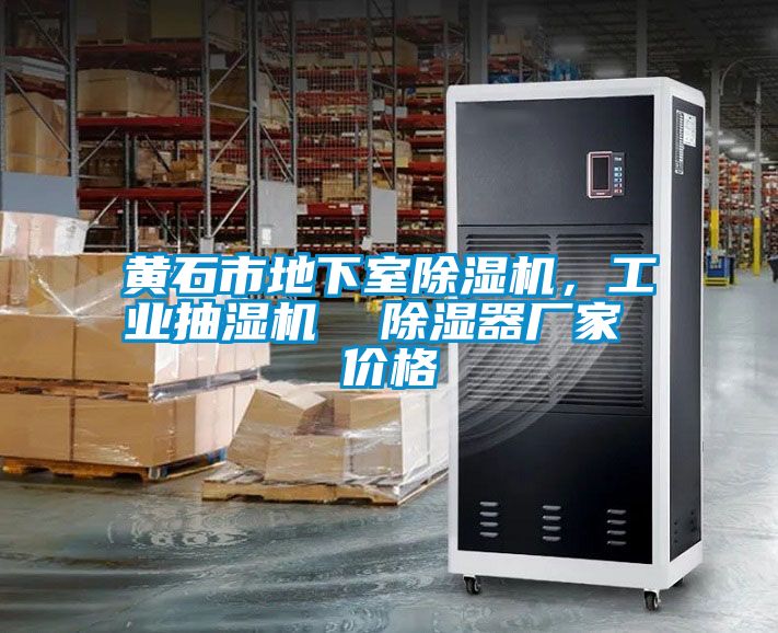 黃石市地下室除濕機，工業抽濕機  除濕器廠家 價格