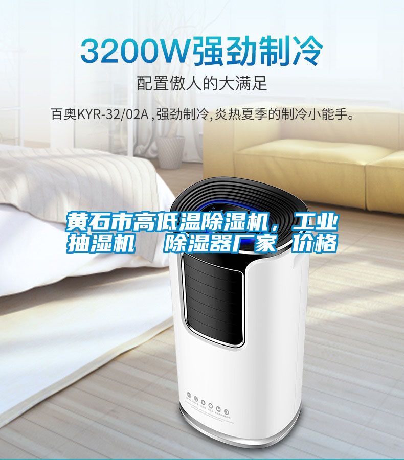 黃石市高低溫除濕機，工業抽濕機  除濕器廠家 價格