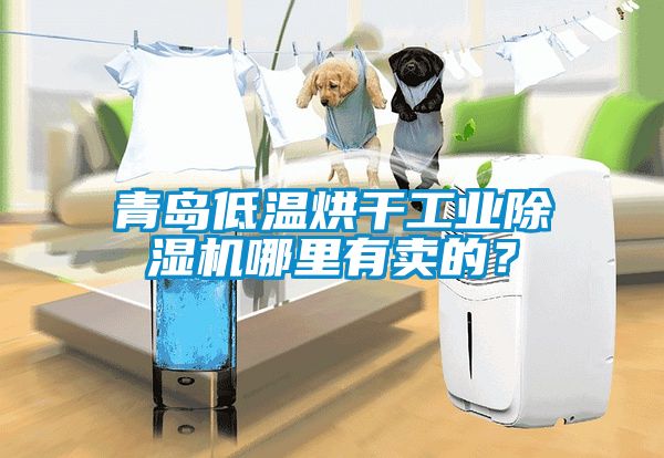 青島低溫烘干工業除濕機哪里有賣的？