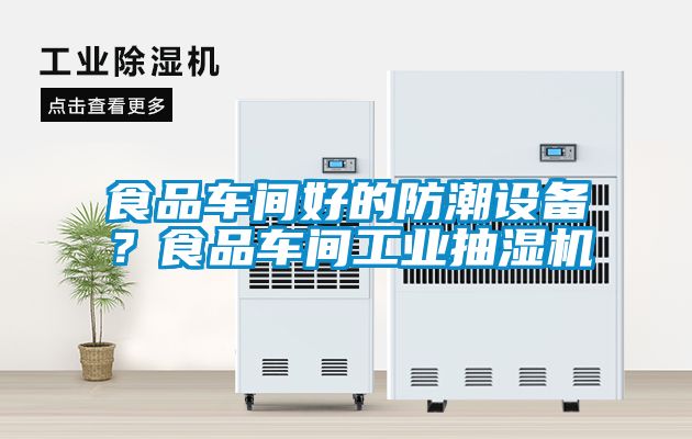 食品車間好的防潮設備？食品車間工業(yè)抽濕機