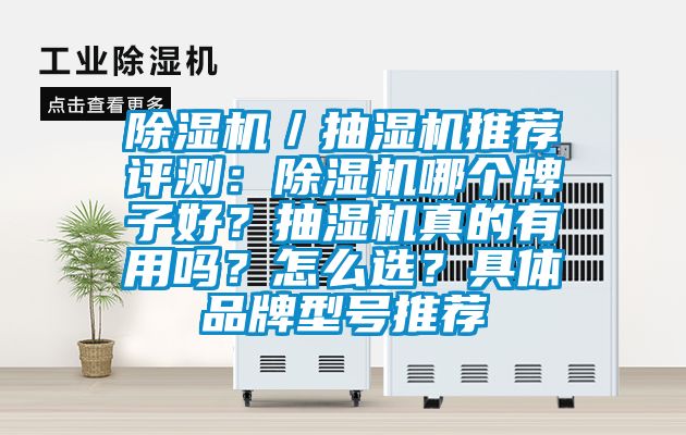 除濕機(jī)／抽濕機(jī)推薦評測：除濕機(jī)哪個牌子好？抽濕機(jī)真的有用嗎？怎么選？具體品牌型號推薦