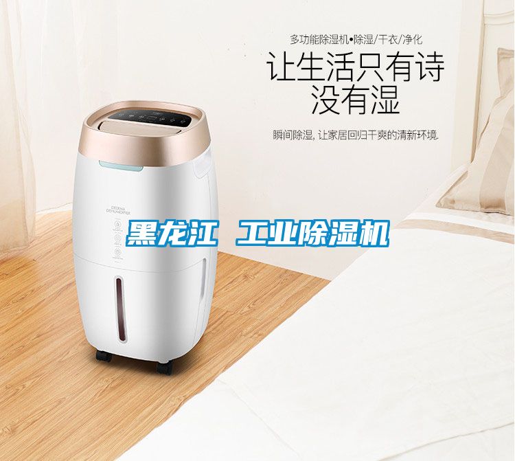 黑龍江 工業除濕機