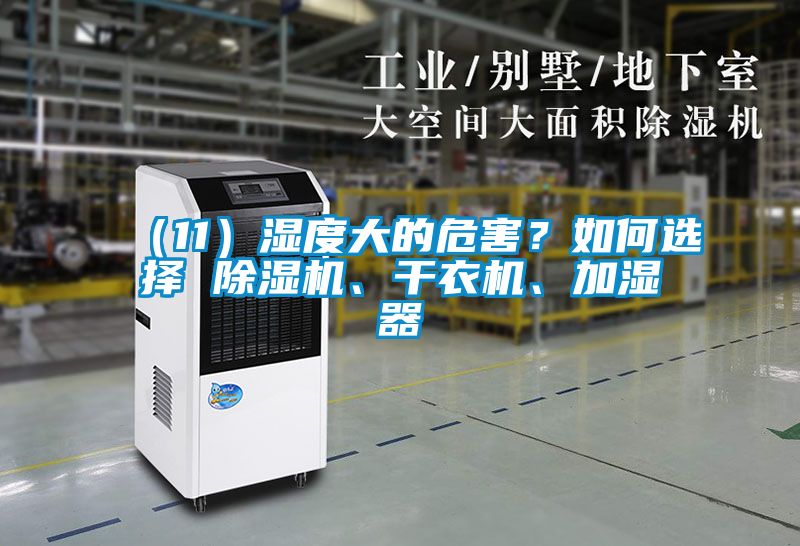 （11）濕度大的危害？如何選擇 除濕機(jī)、干衣機(jī)、加濕器